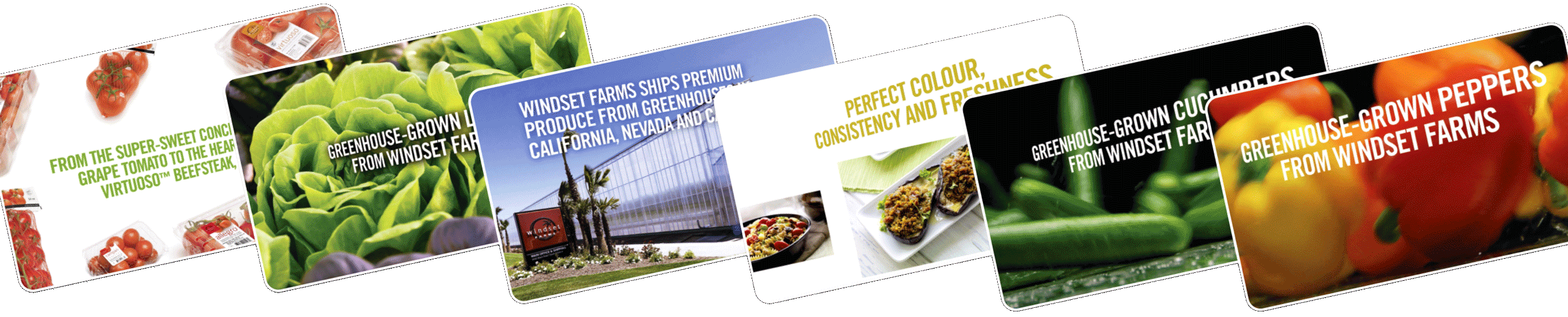 Windset Farms Trade Show Video Reels