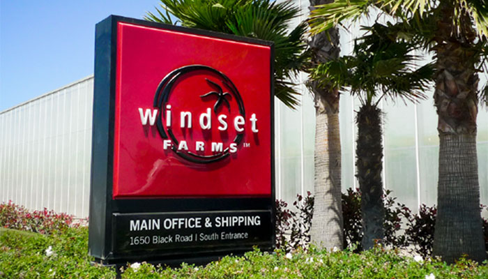 Windset Farms Brand Creative