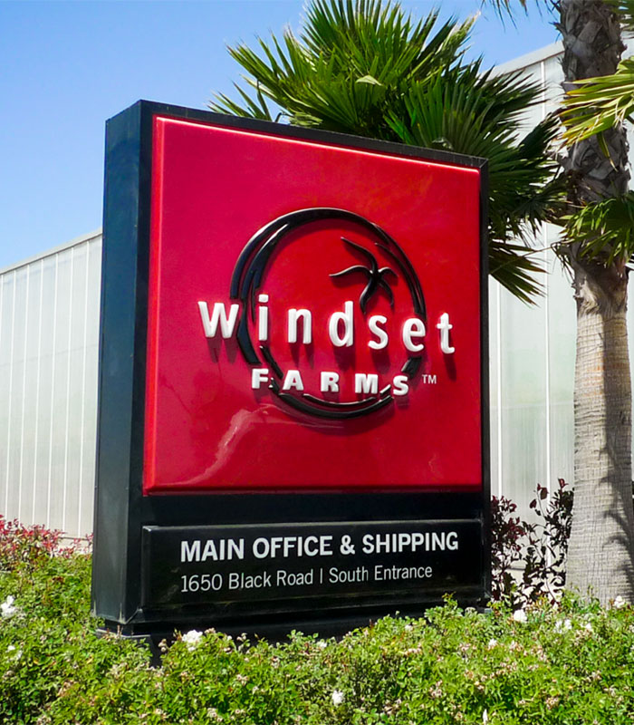 Windset Farms Brand Creative