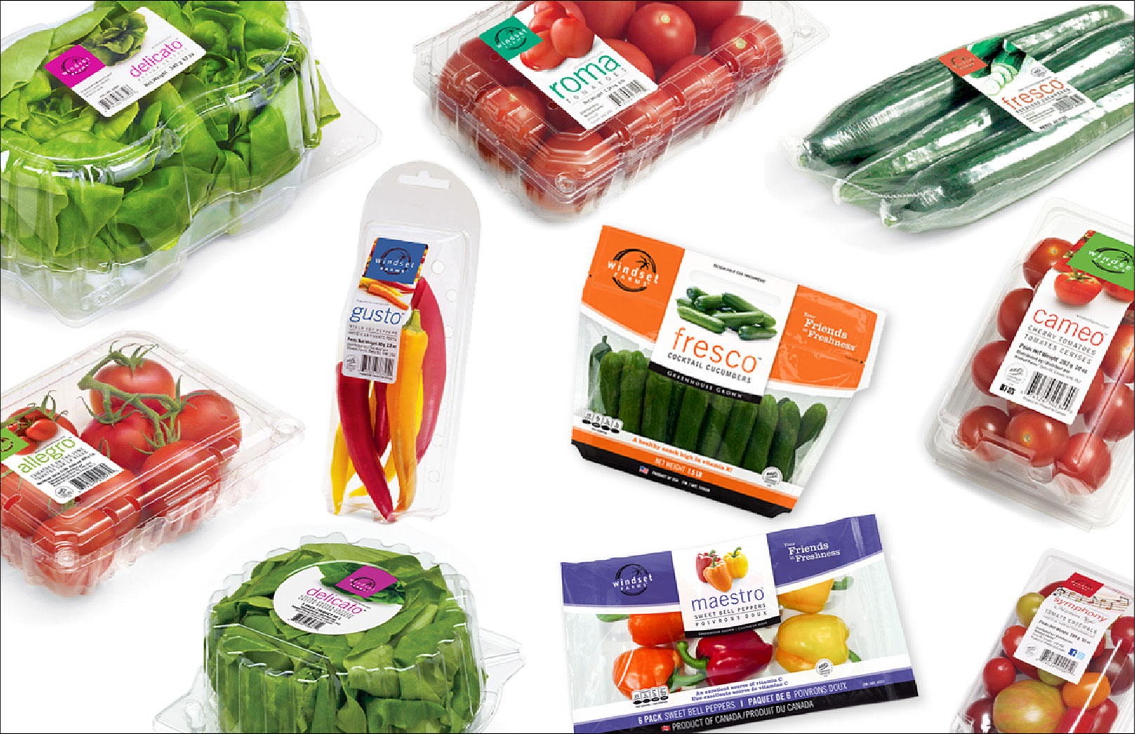 Windset packaging design