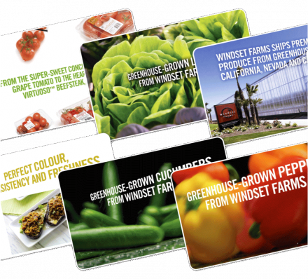 Windset Farms Trade Show Video Reels