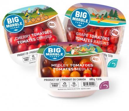 Product Packaging - Topseals